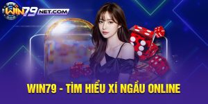 Tìm Hiểu Xí Ngầu Online Và 3 Tips Chơi Xí Ngầu Ăn Tiền